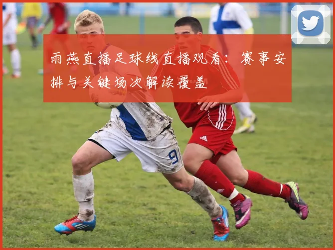雨燕直播足球线直播观看：赛事安排与关键场次解读覆盖